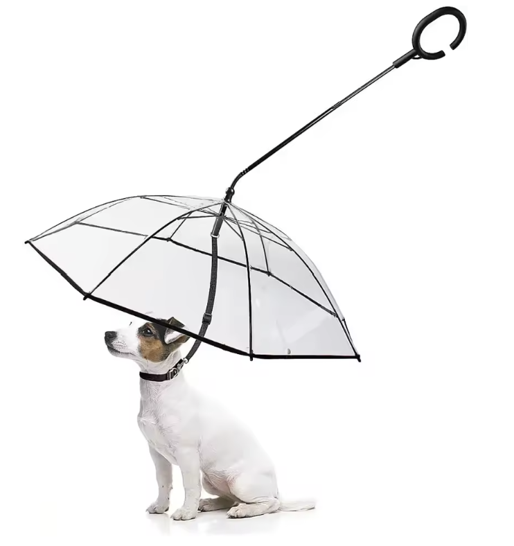 Transparent Dog Umbrella for Rainy Day