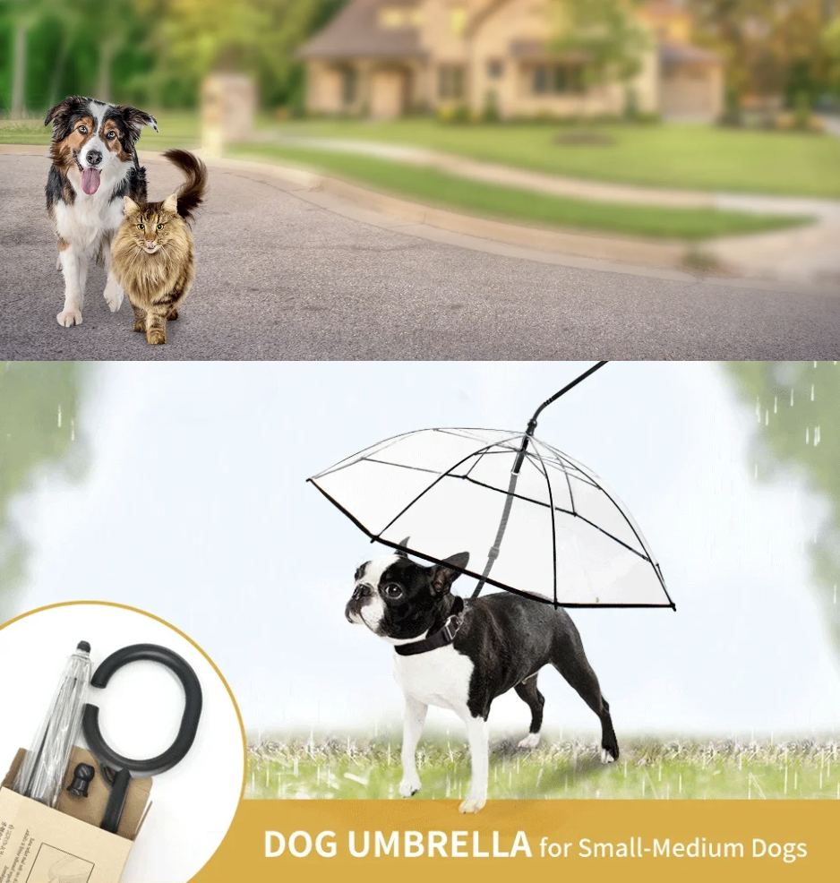 Transparent Dog Umbrella for Rainy Day