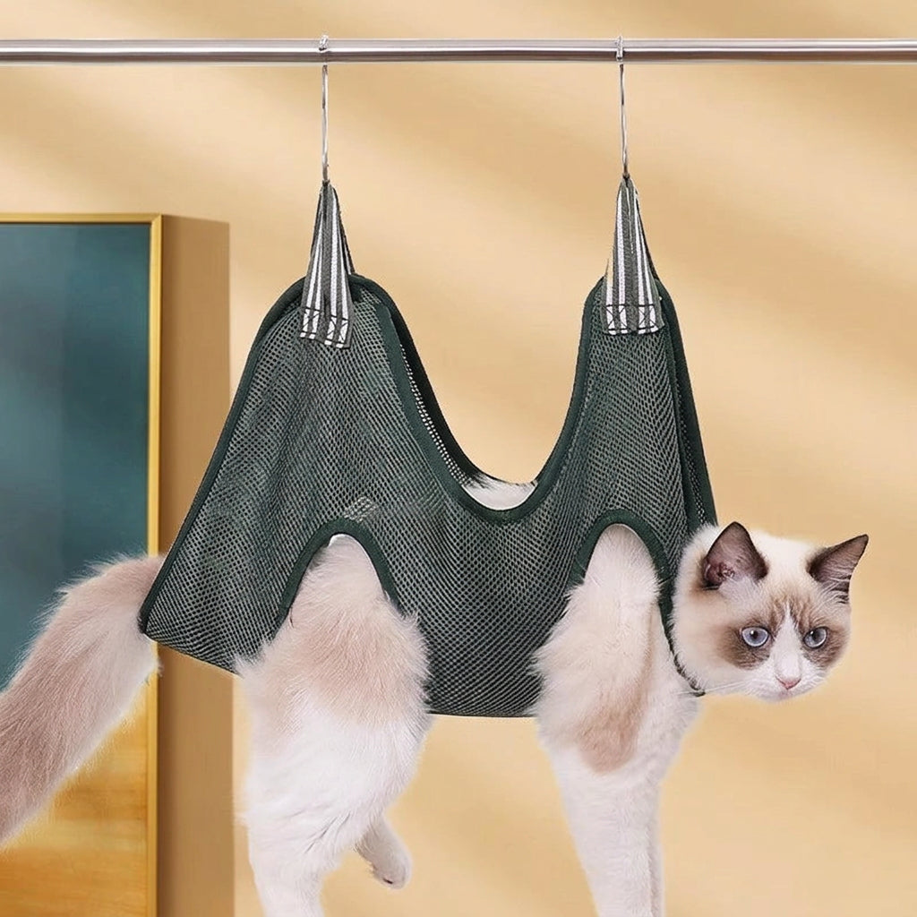 Cat in a green mesh hammock against a beige background