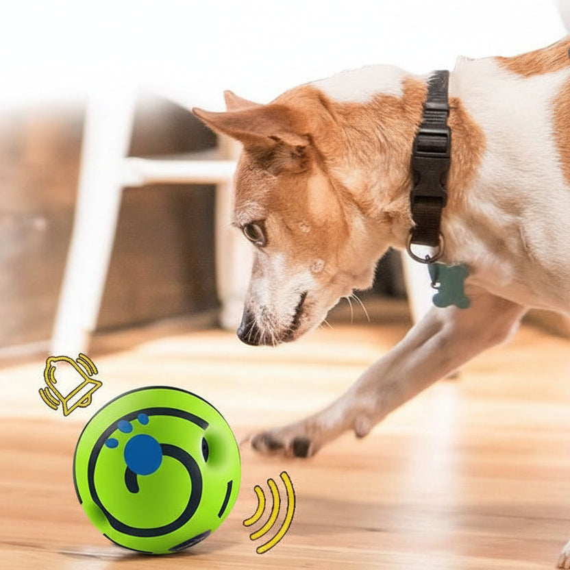 Pet Sound Toy Ball