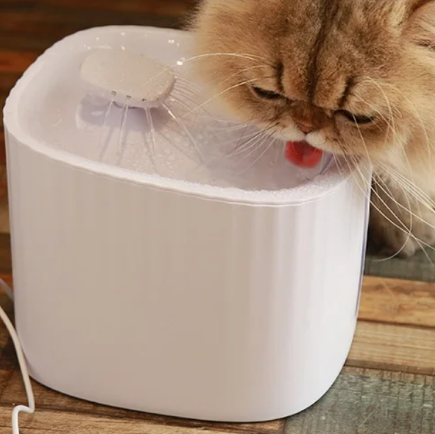 Cat drinking from a white pet water fountain on a wooden floor.