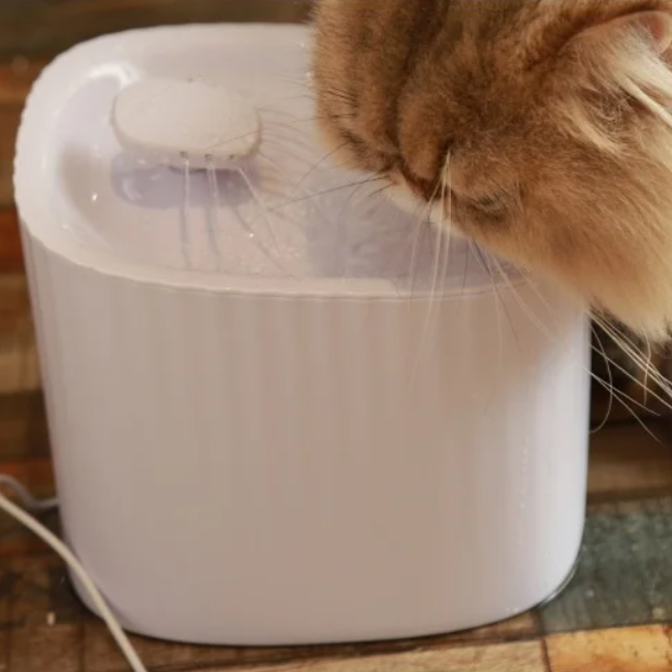 Cat drinking from a white pet water fountain on a wooden floor.